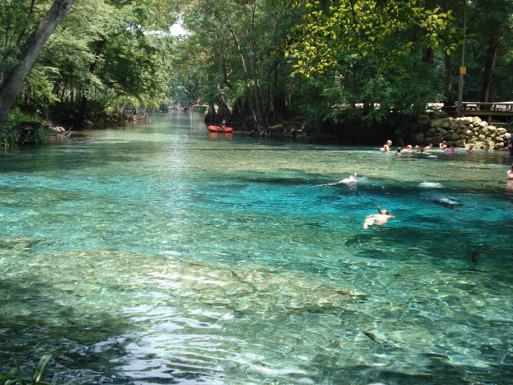 Ginnie Springs — clear blue freshwater spring