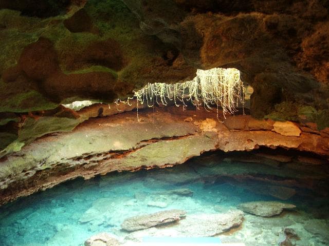 Devil's Den prehistoric cave spring